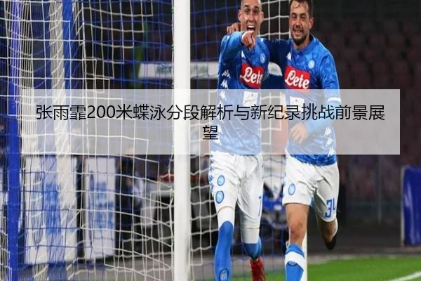 zhang-yu-fei-mi-die-yong-fen-duan-jie-xi-yu-xin-ji-lu-tiao-zhan-qian-jing-zhan-wang-2-908.jpg